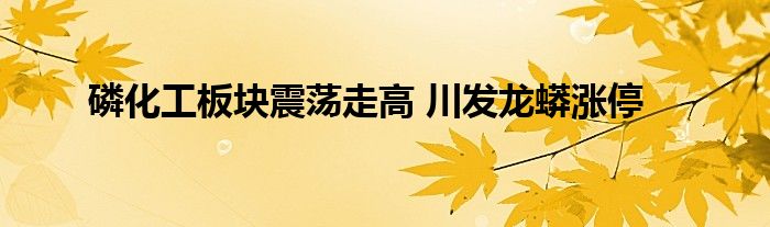 磷化工板块震荡走高 川发龙蟒涨停