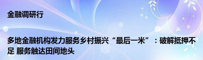 金融调研行|多地金融机构发力服务乡村振兴“最后一米”：破解抵押不足 服务触达田间地头