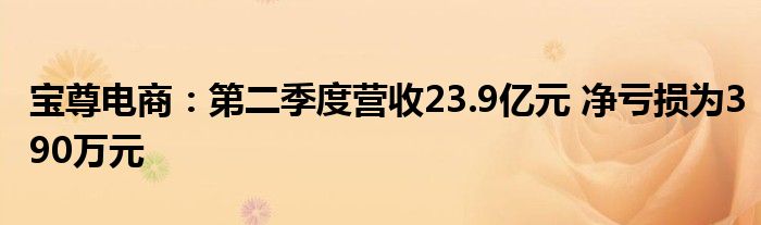 宝尊电商：第二季度营收23.9亿元 净亏损为390万元