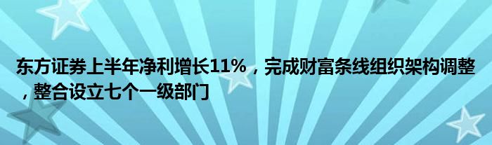 东方证券上半年净利增长11%，完成财富条线组织架构调整，整合设立七个一级部门