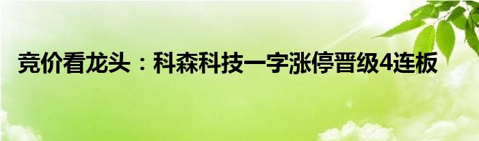 竞价看龙头：科森科技一字涨停晋级4连板