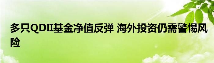 多只QDII基金净值反弹 海外投资仍需警惕风险