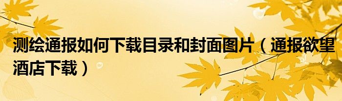 测绘通报如何下载目录和封面图片（通报欲望酒店下载）