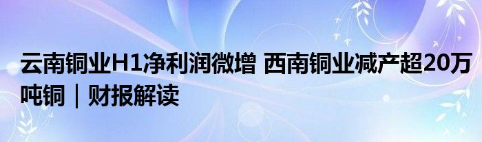 云南铜业H1净利润微增 西南铜业减产超20万吨铜｜财报解读