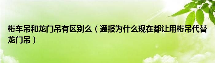 桁车吊和龙门吊有区别么（通报为什么现在都让用桁吊代替龙门吊）