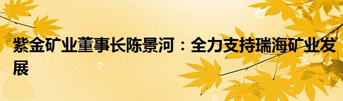 紫金矿业董事长陈景河：全力支持瑞海矿业发展