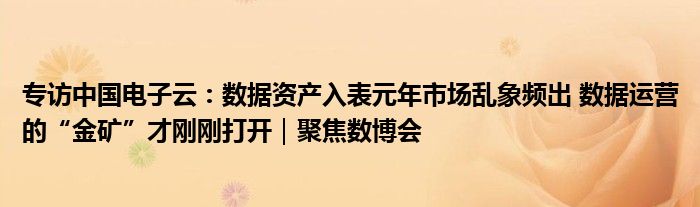 专访中国电子云：数据资产入表元年市场乱象频出 数据运营的“金矿”才刚刚打开｜聚焦数博会