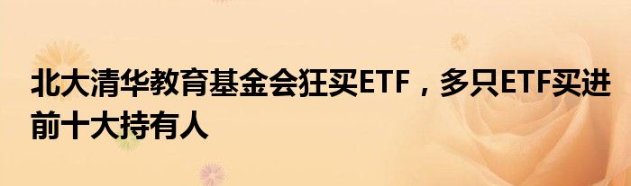 北大清华教育基金会狂买ETF，多只ETF买进前十大持有人