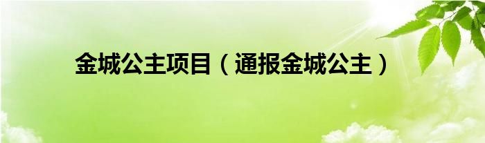 金城公主项目（通报金城公主）