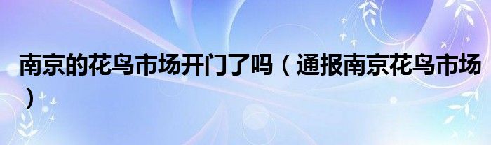 南京的花鸟市场开门了吗（通报南京花鸟市场）