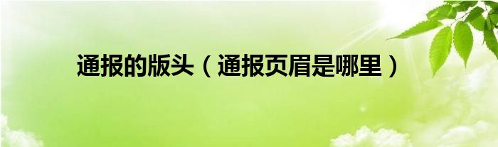 通报的版头（通报页眉是哪里）