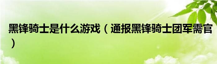 黑锋骑士是什么游戏（通报黑锋骑士团军需官）