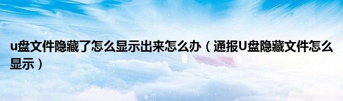 u盘文件隐藏了怎么显示出来怎么办（通报U盘隐藏文件怎么显示）