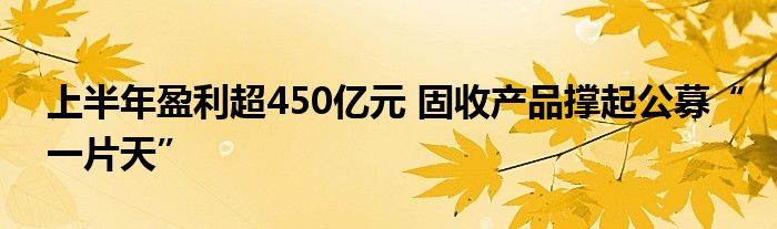 上半年盈利超450亿元 固收产品撑起公募“一片天”