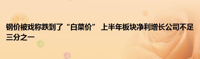 钢价被戏称跌到了“白菜价” 上半年板块净利增长公司不足三分之一