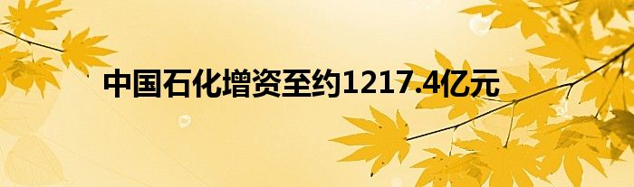 中国石化增资至约1217.4亿元