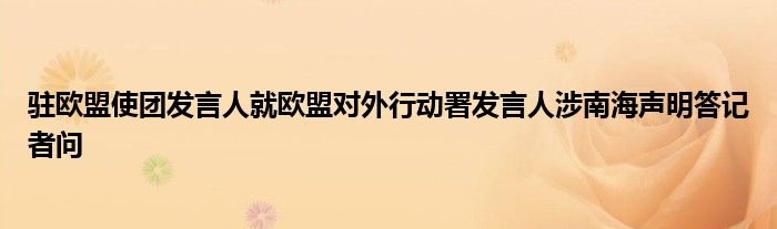 驻欧盟使团发言人就欧盟对外行动署发言人涉南海声明答记者问