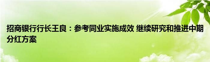 招商银行行长王良：参考同业实施成效 继续研究和推进中期分红方案