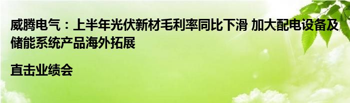 威腾电气：上半年光伏新材毛利率同比下滑 加大配电设备及储能系统产品海外拓展|直击业绩会