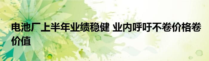 电池厂上半年业绩稳健 业内呼吁不卷价格卷价值