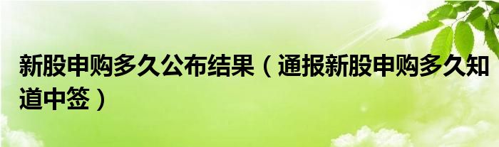 新股申购多久公布结果（通报新股申购多久知道中签）