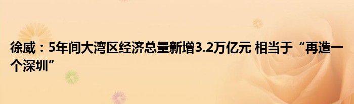 徐威：5年间大湾区经济总量新增3.2万亿元 相当于“再造一个深圳”