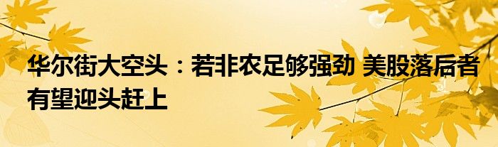 华尔街大空头：若非农足够强劲 美股落后者有望迎头赶上