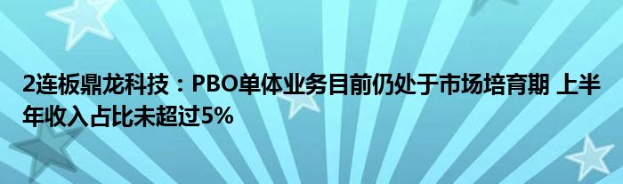 2连板鼎龙科技：PBO单体业务目前仍处于市场培育期 上半年收入占比未超过5%