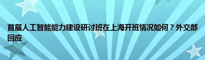 首届人工智能能力建设研讨班在上海开班情况如何？外交部回应