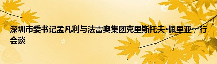 深圳市委书记孟凡利与法雷奥集团克里斯托夫•佩里亚一行会谈