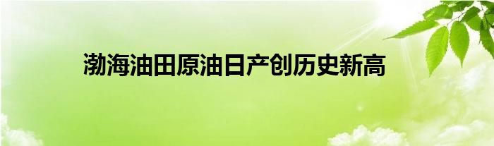 渤海油田原油日产创历史新高