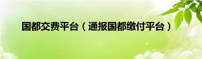 国都交费平台（通报国都缴付平台）