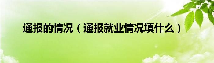 通报的情况（通报就业情况填什么）