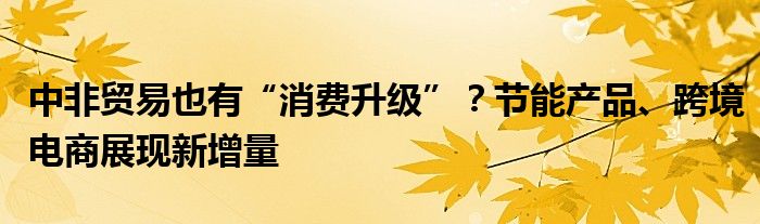 中非贸易也有“消费升级”？节能产品、跨境电商展现新增量