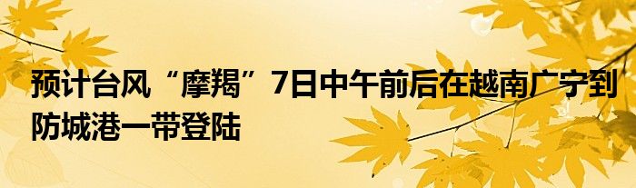 预计台风“摩羯”7日中午前后在越南广宁到防城港一带登陆