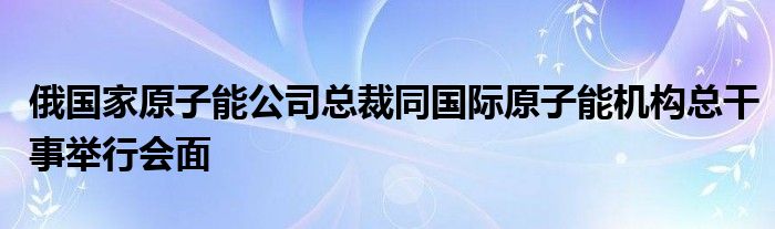 俄国家原子能公司总裁同国际原子能机构总干事举行会面