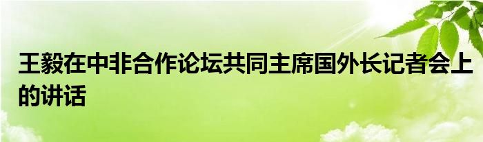 王毅在中非合作论坛共同主席国外长记者会上的讲话