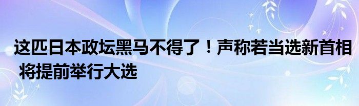 这匹日本政坛黑马不得了！声称若当选新首相 将提前举行大选