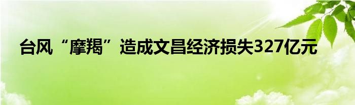 台风“摩羯”造成文昌经济损失327亿元