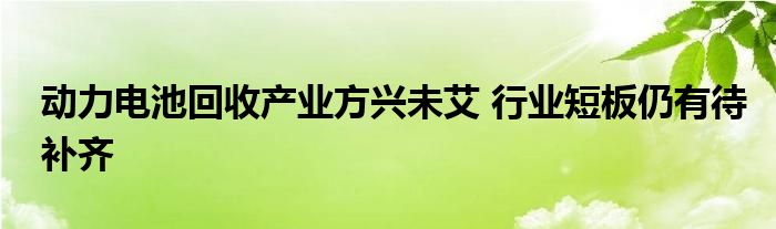 动力电池回收产业方兴未艾 行业短板仍有待补齐