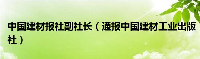 中国建材报社副社长（通报中国建材工业出版社）