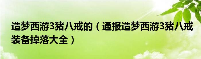 造梦西游3猪八戒的（通报造梦西游3猪八戒装备掉落大全）