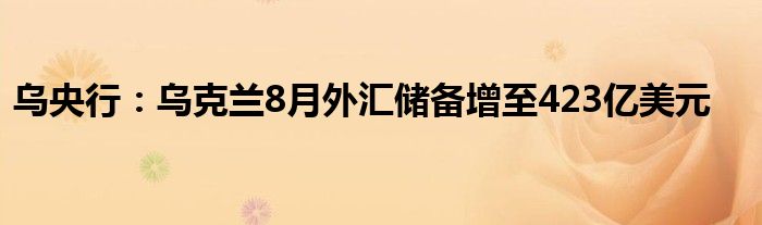 乌央行：乌克兰8月外汇储备增至423亿美元