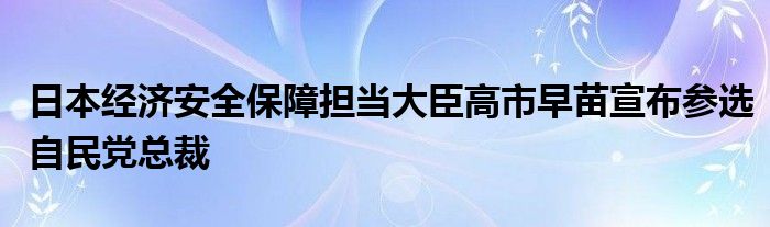 日本经济安全保障担当大臣高市早苗宣布参选自民党总裁