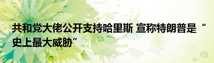 共和党大佬公开支持哈里斯 宣称特朗普是“史上最大威胁”