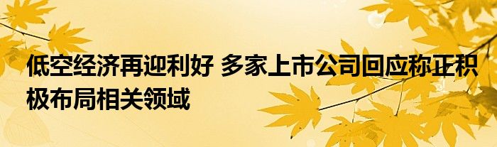 低空经济再迎利好 多家上市公司回应称正积极布局相关领域