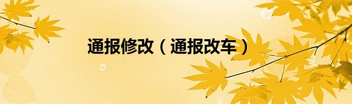 通报修改（通报改车）