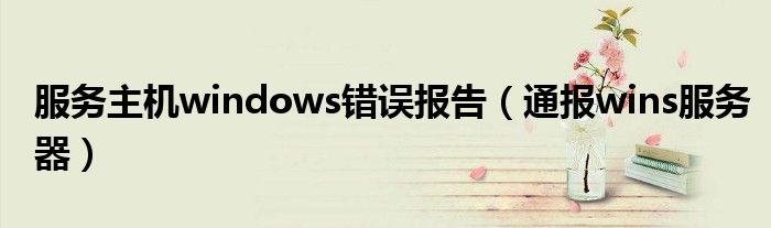 服务主机windows错误报告（通报wins服务器）