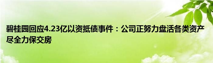 碧桂园回应4.23亿以资抵债事件：公司正努力盘活各类资产 尽全力保交房