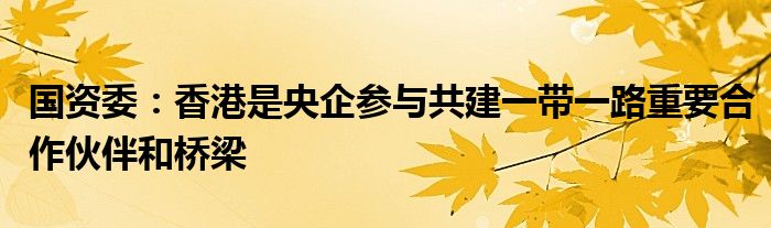 国资委：香港是央企参与共建一带一路重要合作伙伴和桥梁